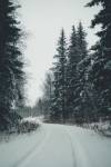 Everly MBOYA LOUBASSOU - The pictures by everly
